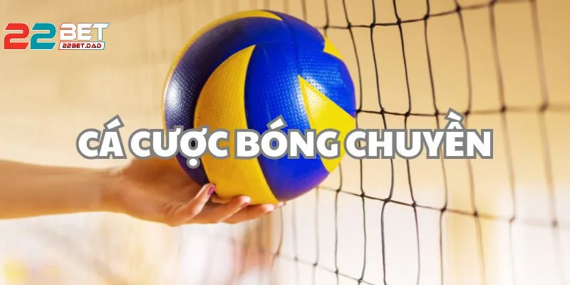 Bóng Chuyền - Sức Hút Đỉnh Cao Trong Thế Giới Thể Thao